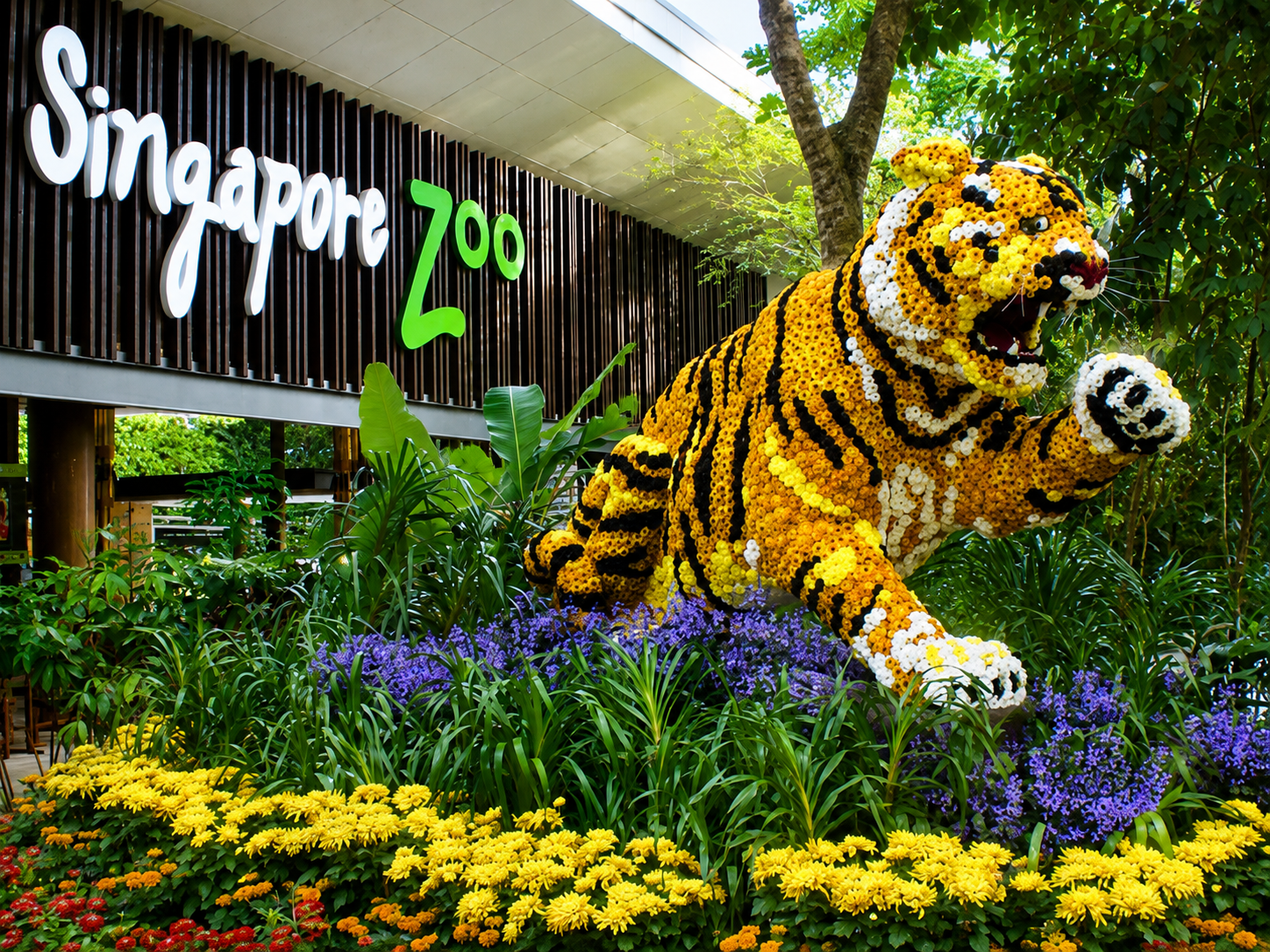 Park hopper 5 in 1 (Night safari + zoo + bird paradise + rainforest wild aisa + river safari)
