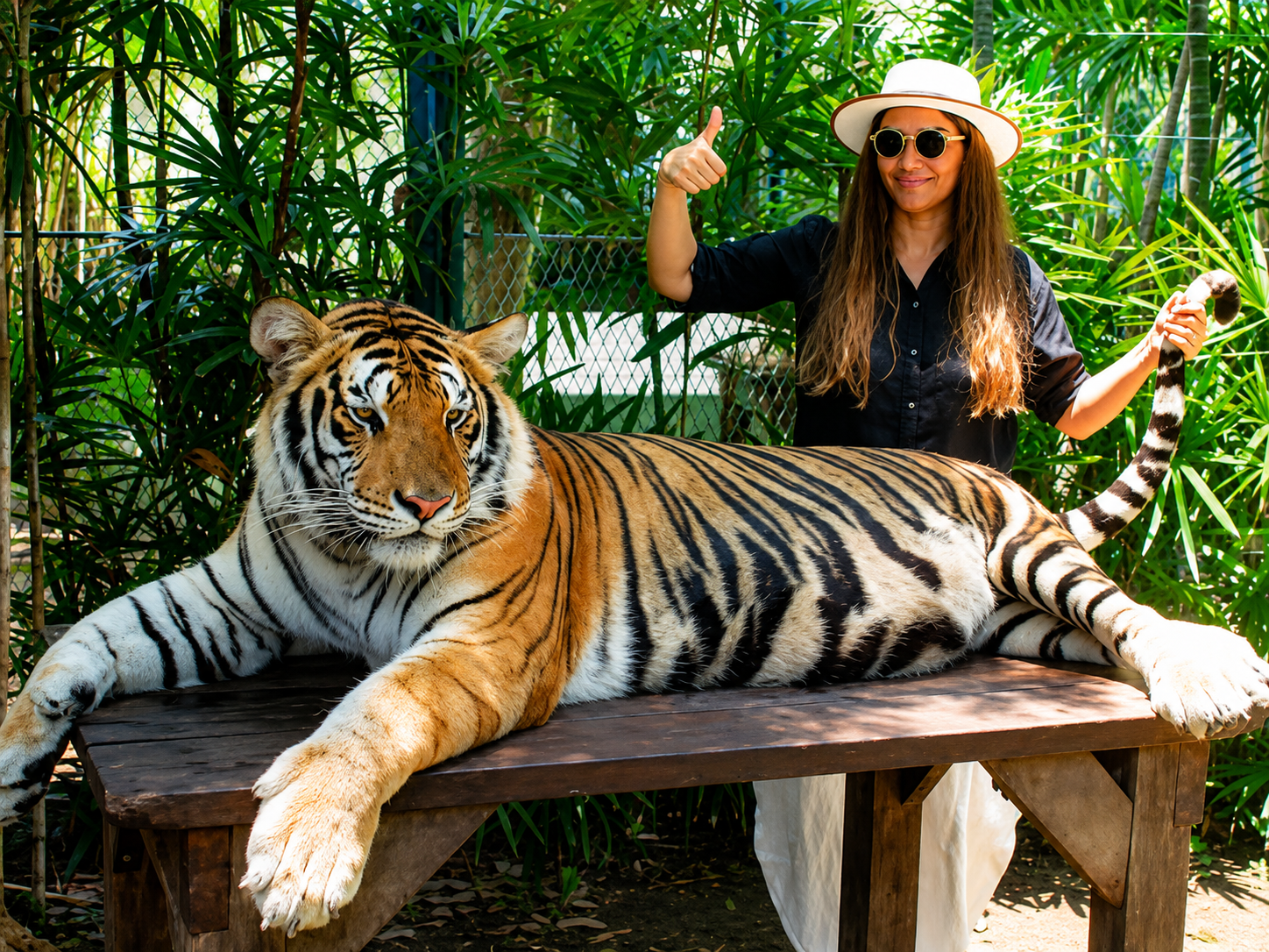 Phuket - Tiger Park - Walk Around Tiger Cage Ticket