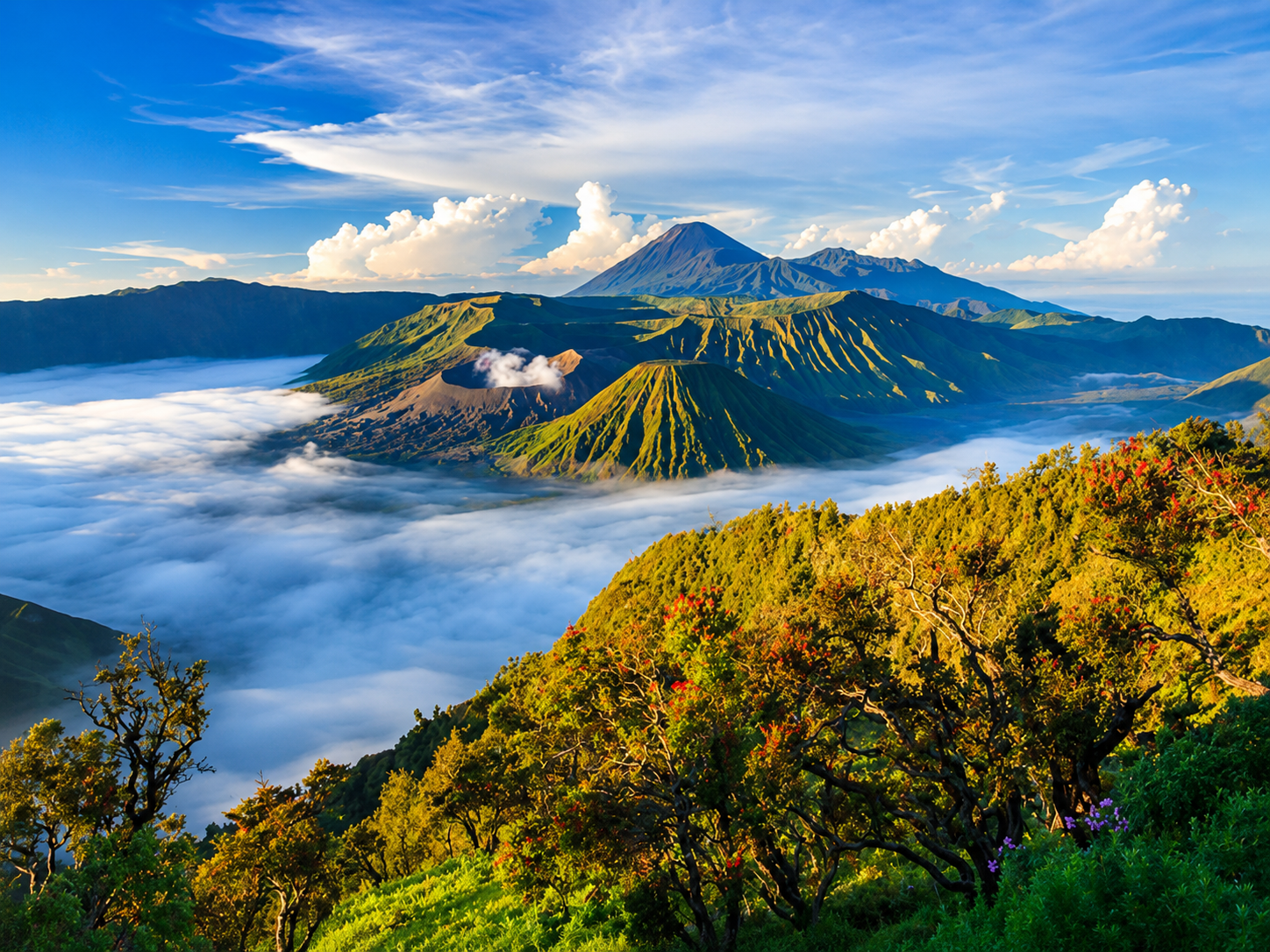 Kintamani Highlands