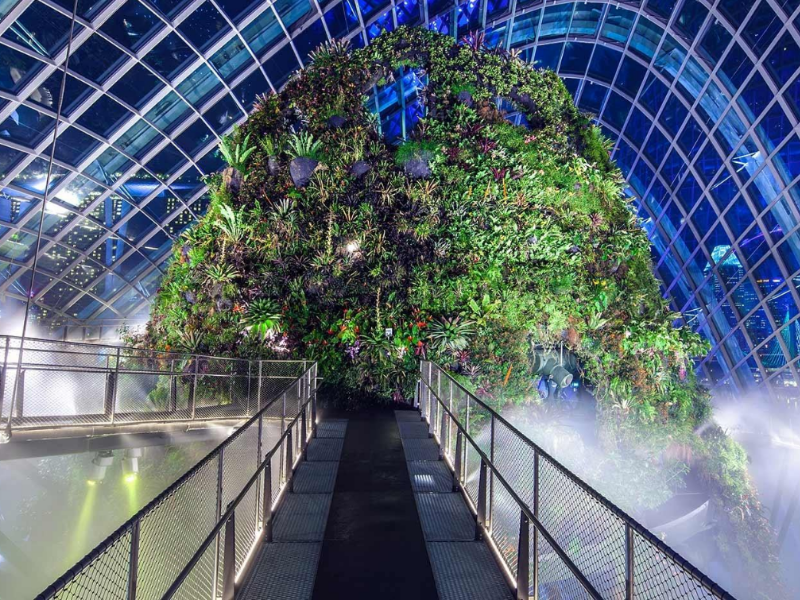 Garden by the bay (cloud forest +Flower dom with Jurassic world) + MBS sky park