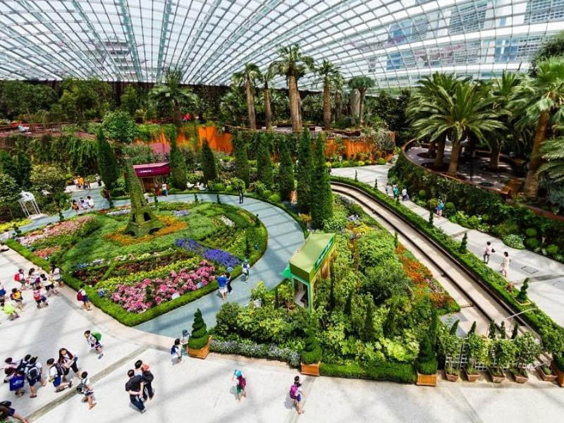 Garden by the bay (cloud forest +Flower dom with Jurassic world) + MBS sky park