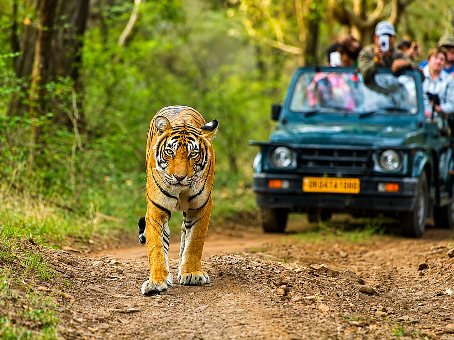 Jim Corbett