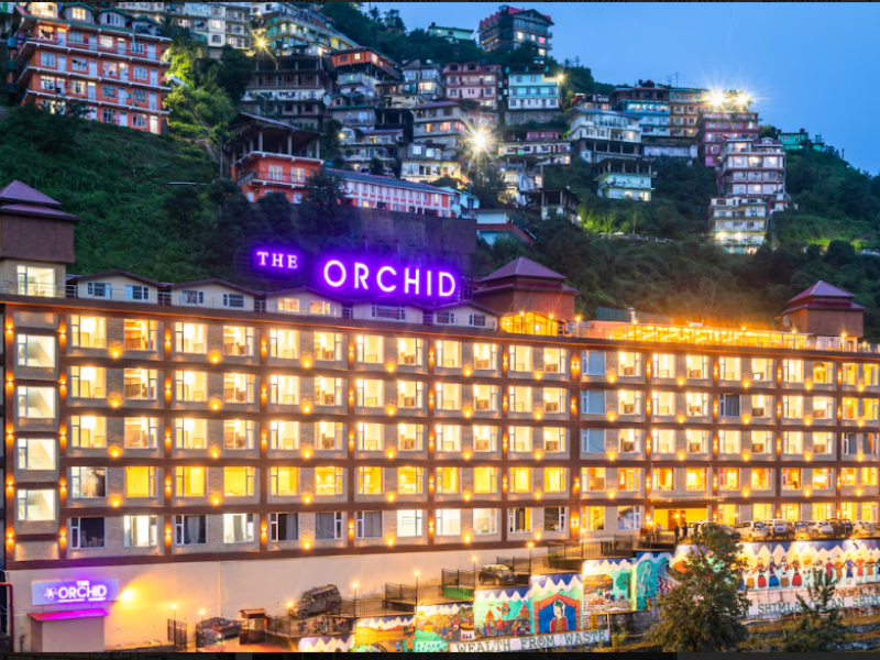 The Orchid Shimla