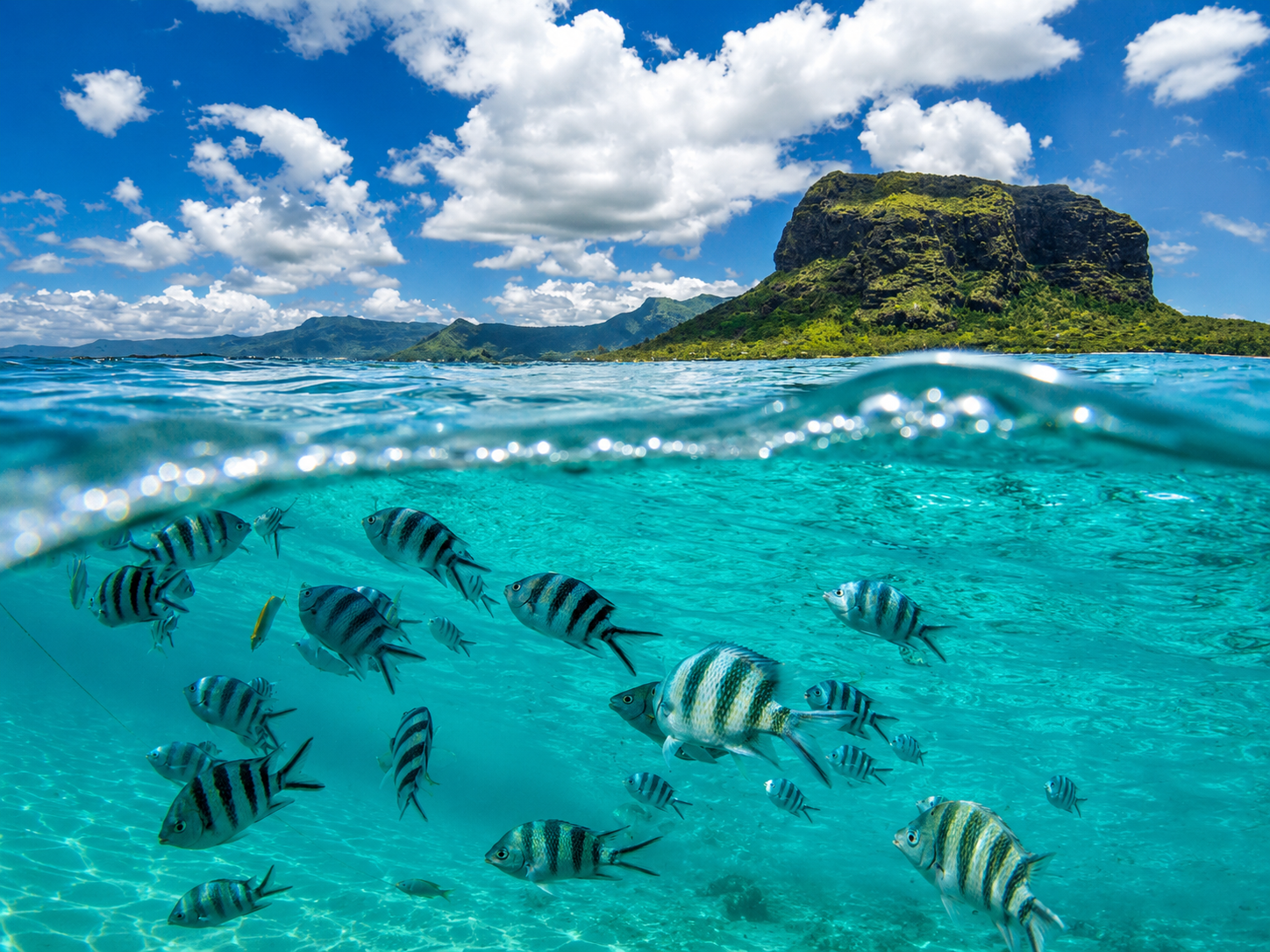 PARADISE FOUND – 6 DAYS IN MAURITIUS
