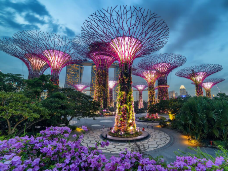 Discover Singapore | The Jewel of Southeast Asia